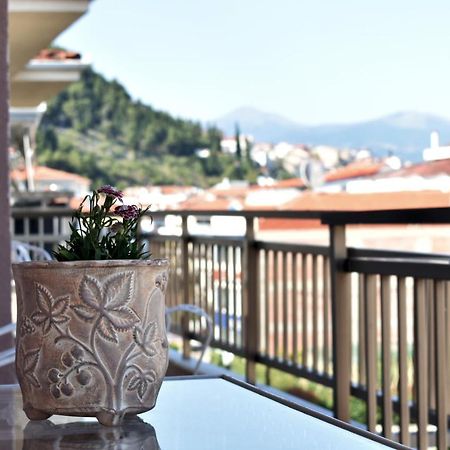 Κεντρικό Και Ευρύχωρο Οροφοδιαμέρισμα Кастория Экстерьер фото
